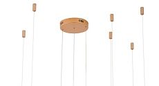 Подвесной светильник Zortes RINGOLIGHT ZRS.33325.75F 3