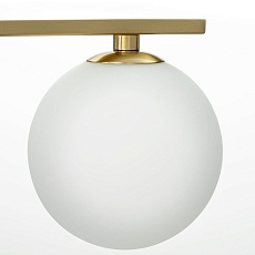 Потолочная люстра Citilux Glob CL209263 2