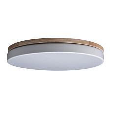 Потолочный светодиодный светильник Loft IT Axel 10001/36 white 1