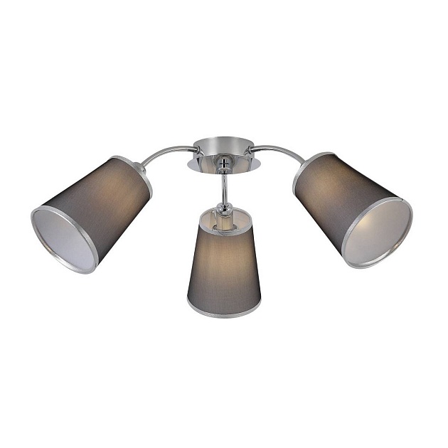 Потолочная люстра Evoluce Maleonte SLE103002-03 Фото № 1