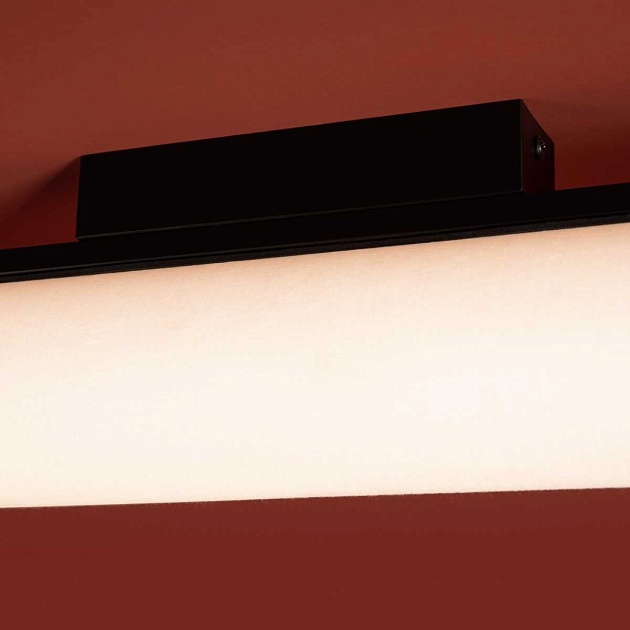 Потолочный светильник Freya Modern Even FR5625CL-L20B Фото № 5