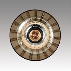 Подвесной светильник Lumion Moderni Lorenzo 8065/1A 5