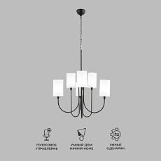 Подвесная люстра Eurosvet Abbey 60164/6 черный Smart 4