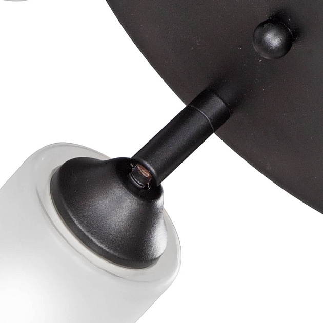 Спот Vitaluce V4294-1/3PL изображение 2 Спот Vitaluce V4294-1/3PL Фото № 2