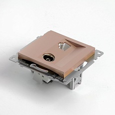 Розетка телевизионная TV + компьютерная RJ-45 Stekker Катрин шампань GLS00-7106-02 49184 4