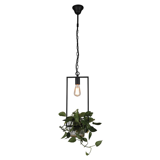 Подвесной светильник Favourite Situla 1975-1P Фото № 1