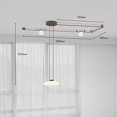 Трековая ременная система Denkirs Belty Set DK55SET02-01-BR 1