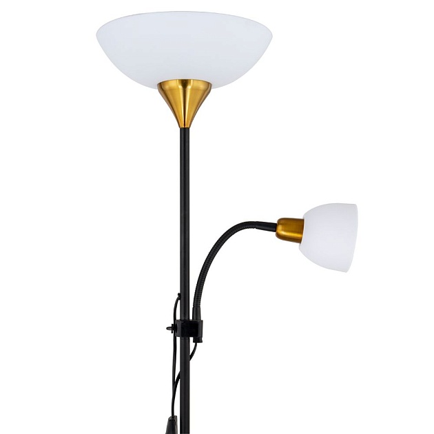 Торшер Arte Lamp Duetto A9569PN-2BK изображение 4 Торшер Arte Lamp Duetto A9569PN-2BK Фото № 4