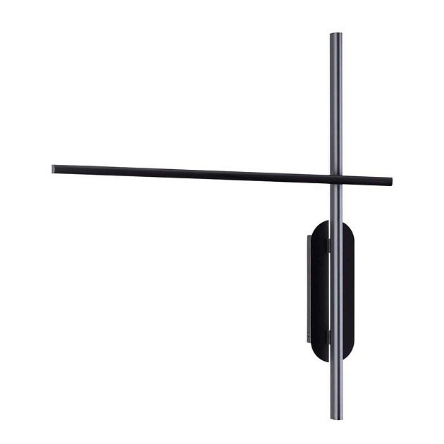 Настенный светильник Odeon Light RUDY 3890/20WLP Фото № 1