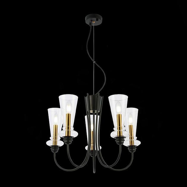 Подвесная люстра Evoluce Rammo SLE112403-05 Фото № 2