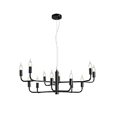 Люстра подвесная Aployt Evlalia APL.338.13.12