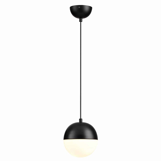 Подвесной светильник Odeon Light Pendant Pinga 4958/1 Фото № 2