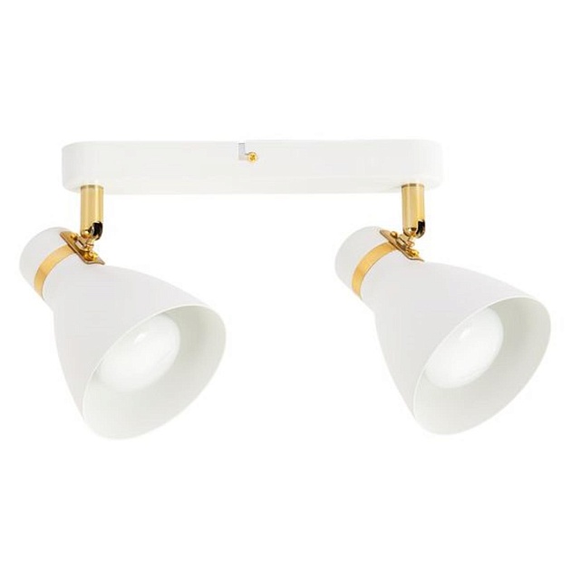 Спот Arte Lamp Fafnir A5047PL-2WH изображение 1 Спот Arte Lamp Fafnir A5047PL-2WH Фото № 1