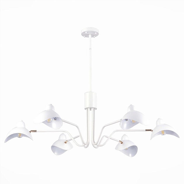 Подвесная люстра ST Luce Minne SL1801.513.06 изображение 1 Подвесная люстра ST Luce Minne SL1801.513.06 Фото № 1