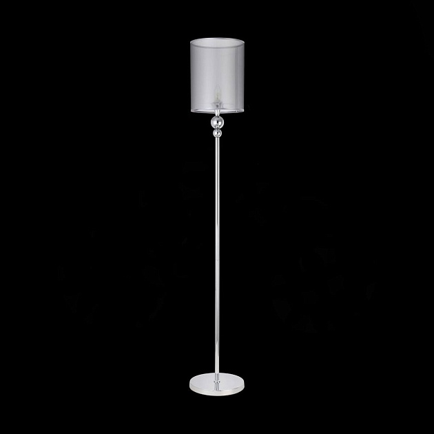 Торшер Evoluce Pazione SLE107105-01 Фото № 3