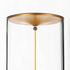 Настольная лампа Citilux Streng CL811012 2