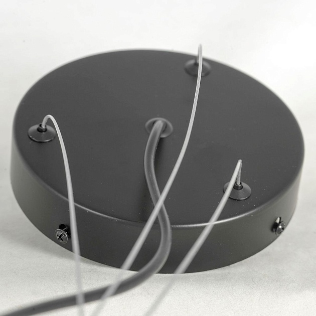 Подвесная люстра Lussole Loft LSP-8750 изображение 6 Подвесная люстра Lussole Loft LSP-8750 Фото № 6