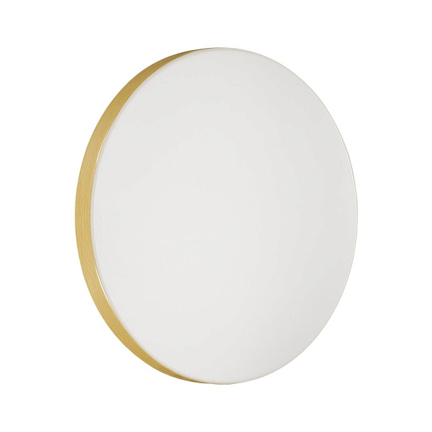 Настенно-потолочный светодиодный светильник Sonex Mini Smalli 3066/AL Фото № 1