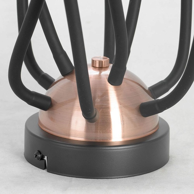 Потолочная люстра Lussole Loft Regina GRLSP-8247 изображение 5 Потолочная люстра Lussole Loft Regina GRLSP-8247 Фото № 5