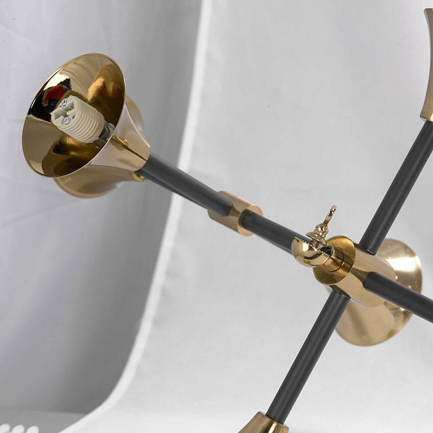 Подвесная люстра Lussole Loft LSP-8204 изображение 5 Подвесная люстра Lussole Loft LSP-8204 Фото № 5