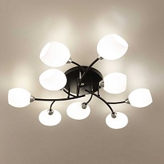 Потолочная люстра Citilux Флорида CL148195 3