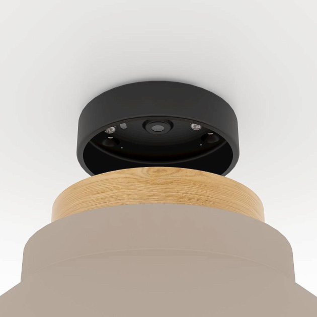 Потолочный светильник Eglo Moharras 900736 Фото № 4