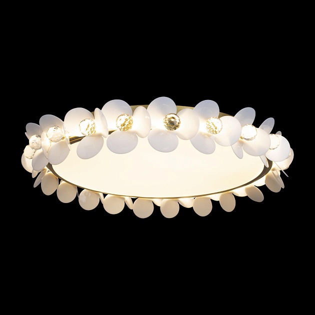 Потолочный светодиодный светильник Loft IT Bride 10176 Фото № 3