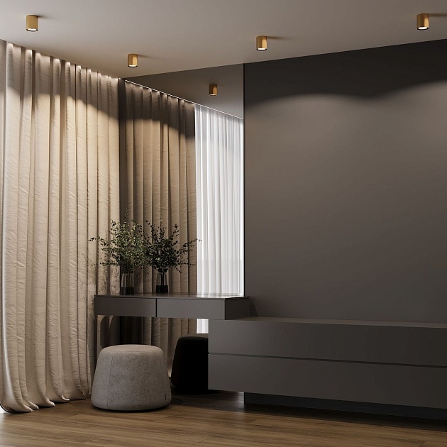 Потолочный светодиодный светильник Elektrostandard Primo 25116/LED a069414 Фото № 4