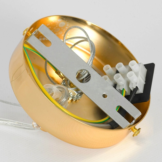 Подвесная люстра Lussole Loft Davie LSP-8778 Фото № 2