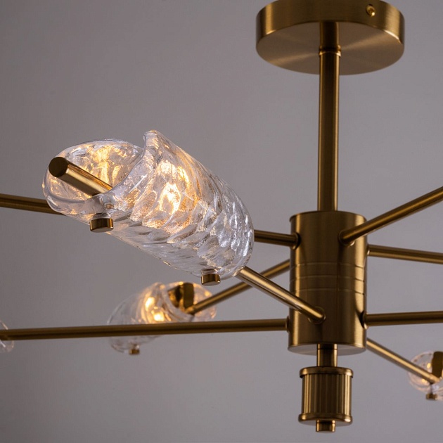 Потолочная люстра Freya Baret FR5420CL-08BS Фото № 5