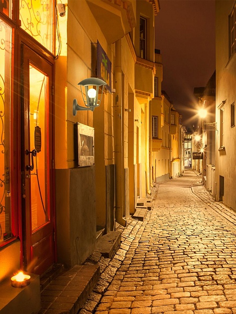 Уличный настенный светильник Apeyron Дели 11-164 Фото № 5