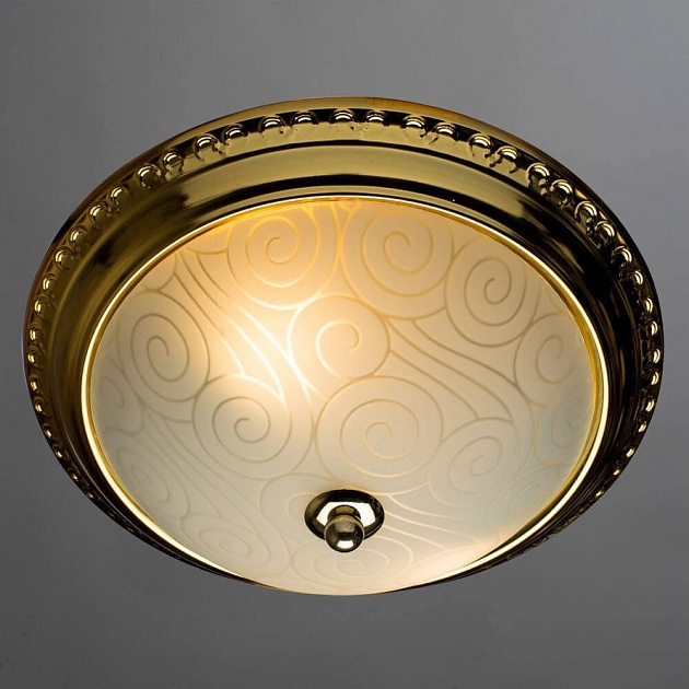 Потолочный светильник Arte Lamp 28 A3013PL-2GO Фото № 4