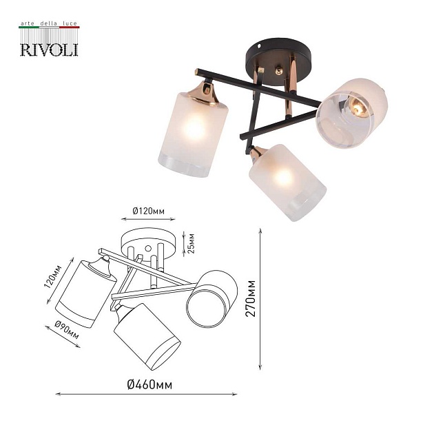 Потолочная люстра Rivoli Fiona 3163-303 Б0059259 Фото № 3
