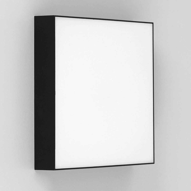 Накладной светодиодный светильник Citilux Тао CL712X242N Фото № 15