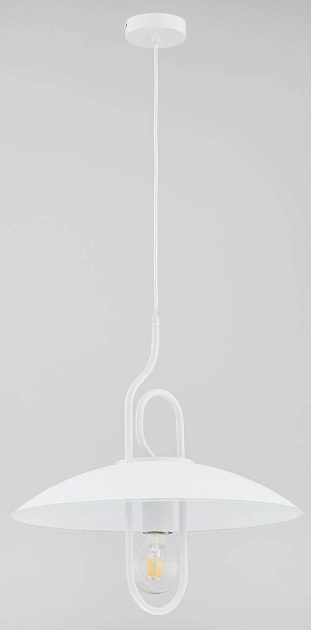 Подвесной светильник Alfa Astoria Chee 60625 Фото № 1