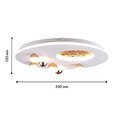 Потолочный светодиодный светильник Favourite Plaides 4630-5C 1