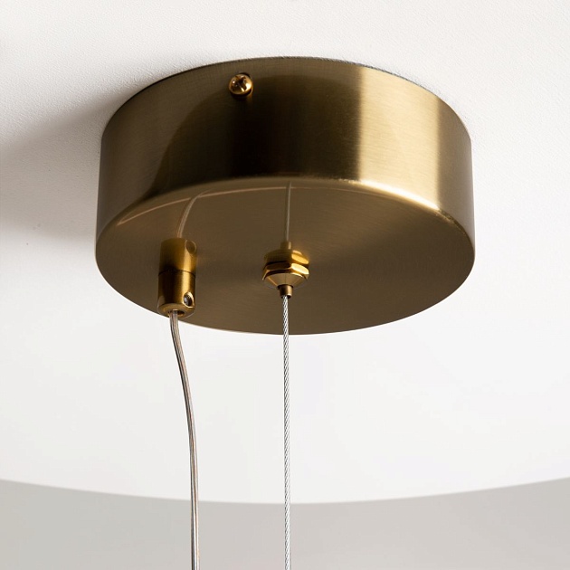 Подвесной светодиодный светильник Maytoni Oasis MOD289PL-L44BS3K Фото № 8