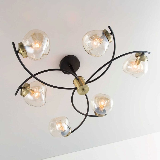 Потолочная люстра Citilux Фабула CL110165 Фото № 32