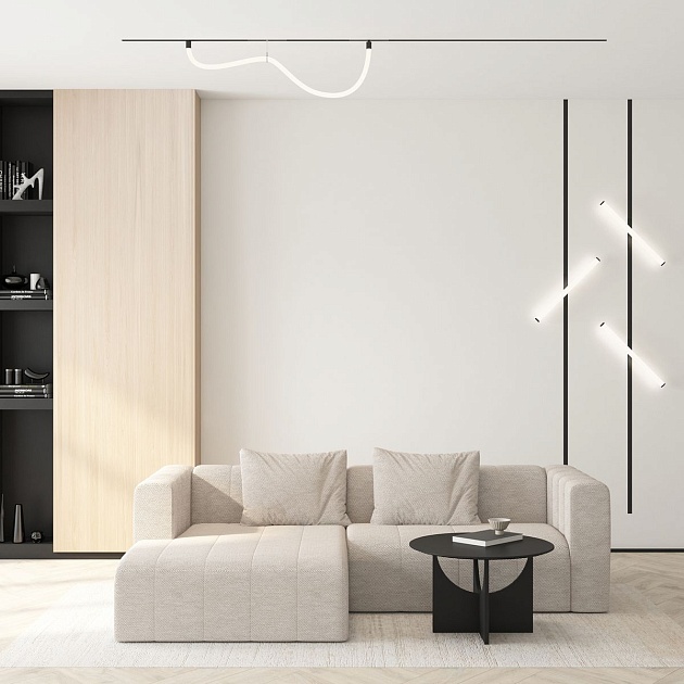 Трековый светодиодный светильник Denkirs Smart Ray DK8060-BK Фото № 7