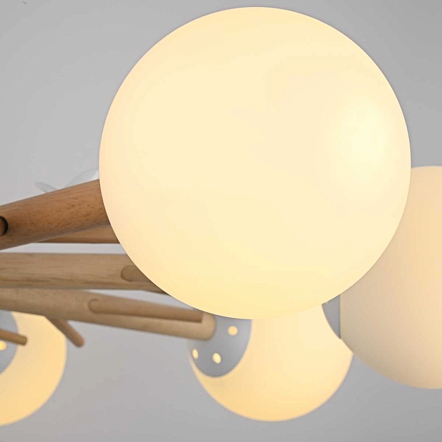 Потолочная люстра Imperium Loft Finch 178022-26 Фото № 10