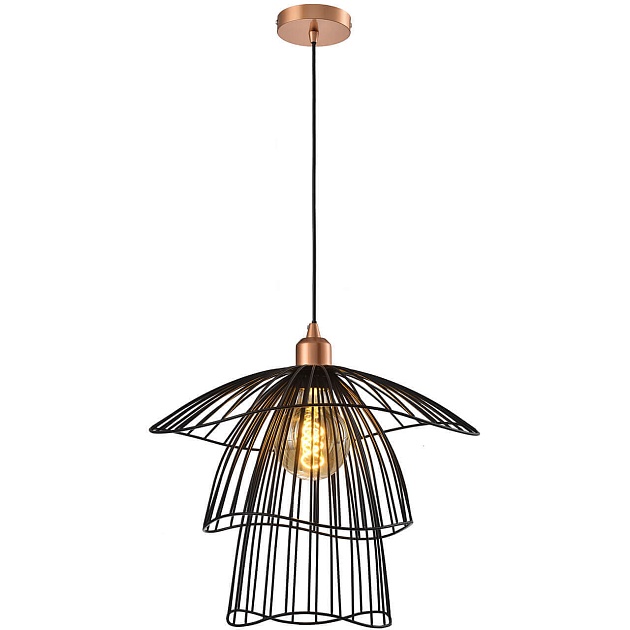 Подвесной светильник Toplight Phebe TL1192H-01BK Фото № 1