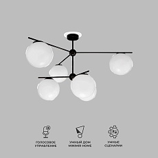 Потолочная люстра Eurosvet Marbella 60147/6 черный Smart 3