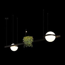 Подвесной светодиодный светильник Loft IT Jardin 10121/D 1