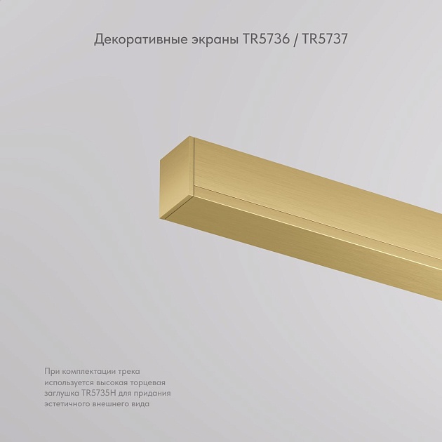 Заглушка Denkirs Shine Base TR5736-SB Фото № 6