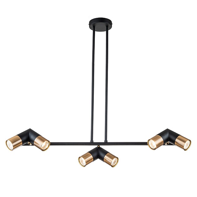 Подвесная люстра Indigo Doppio 11036/6R Black V000452 изображение 1 Подвесная люстра Indigo Doppio 11036/6R Black V000452 Фото № 1