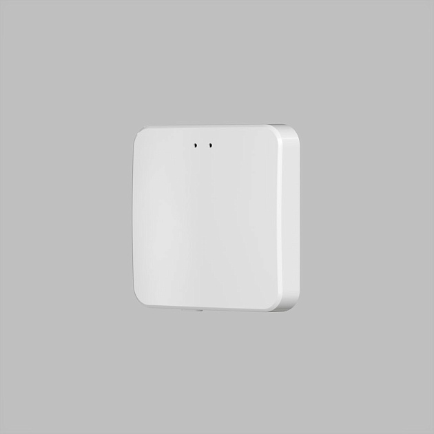 Конвертор Denkirs Control BT DK7401-WF Фото № 4