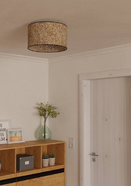 Потолочный светильник Eglo Butterburn 43935 Фото № 6