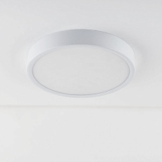 Потолочный светодиодный светильник Elektrostandard DLR034 18W 4200K a043015 1