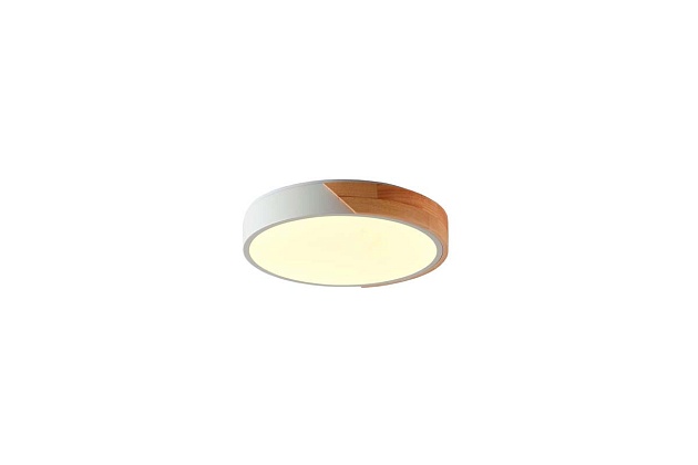 Потолочный светильник Zortes ALBERRO ZRS.01239.90 изображение 2 Потолочный светильник Zortes ALBERRO ZRS.01239.90 Фото № 2