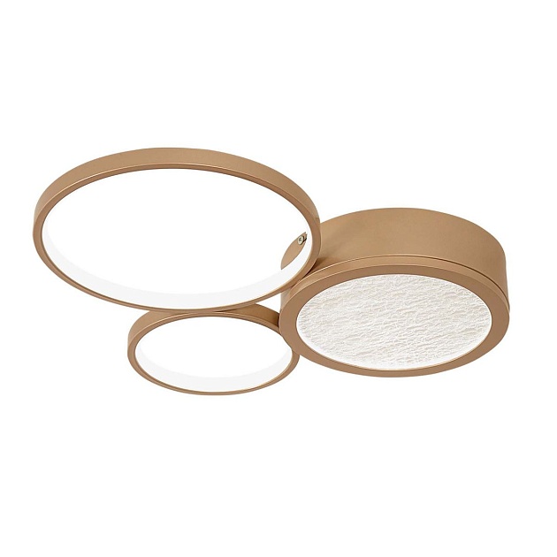 Потолочный светодиодный светильник F-Promo Campus 4681-3C Фото № 1